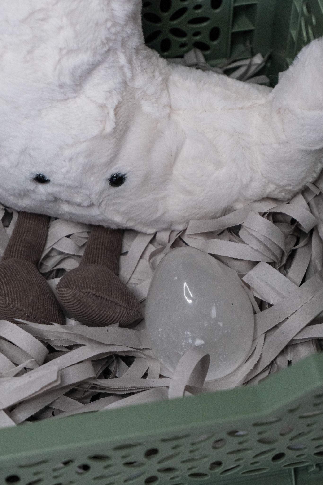 Buchbox "White Dragon"