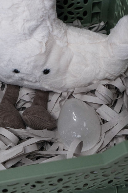 Buchbox "White Dragon"